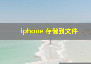 iphone 存储到文件